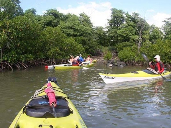 sea_kayaking_mangrove_mauritius__east